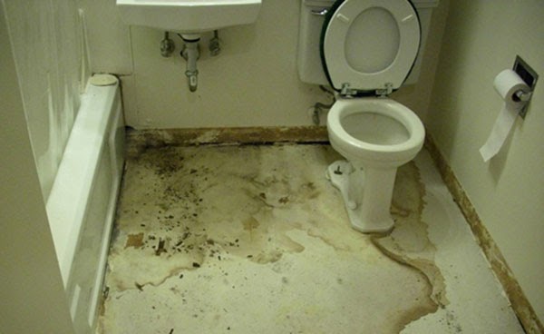 Nhiều gia đình bị thấm sàn vệ sinh